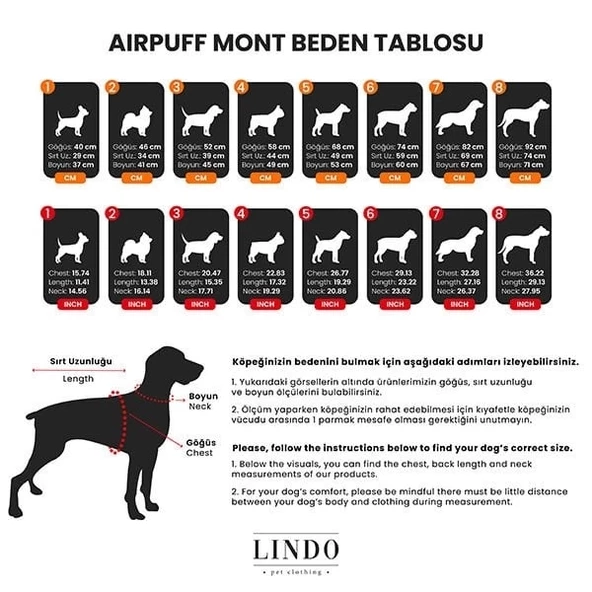 Lindo Dogs Air Puff Stone Köpek Montu Krem Beden 1 - 5
