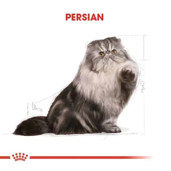 Royal Canin Persian Adult Yetişkin İran Kedisi Maması 2 Kg - 4
