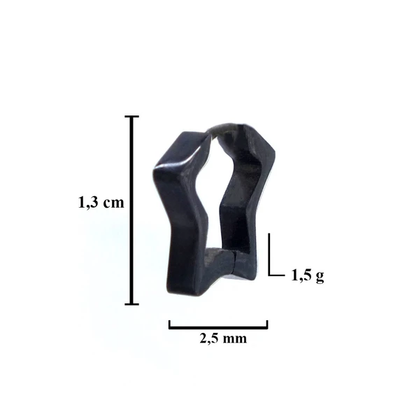 BZ 316L Çelik Yıldız Model Siyah Küpe UNK-575 - 2