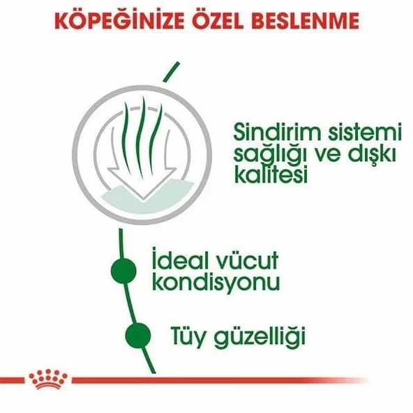Royal Canin Mini İndoor Adult Yetişkin Köpek Maması 1.5 Kg - 3