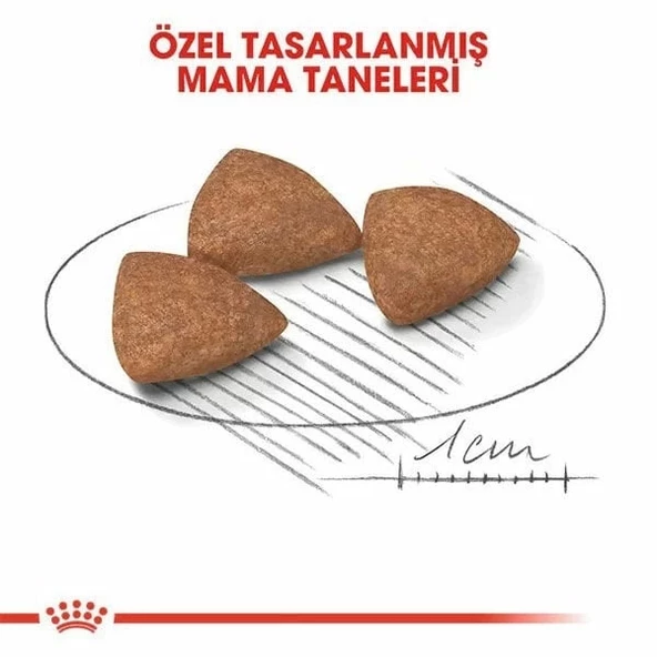 Royal Canin Mini İndoor Adult Yetişkin Köpek Maması 1.5 Kg - 4