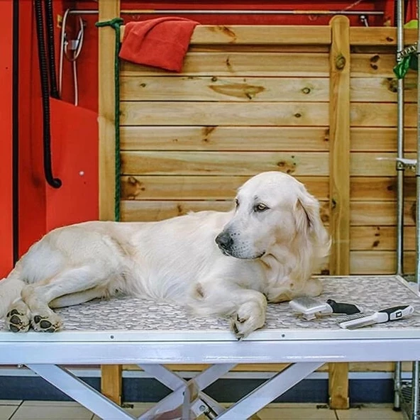 Ferplast GRO 5762 Premium Çift Taraflı Kedi ve Köpek Tüy Tarama Fırçası Small - 2