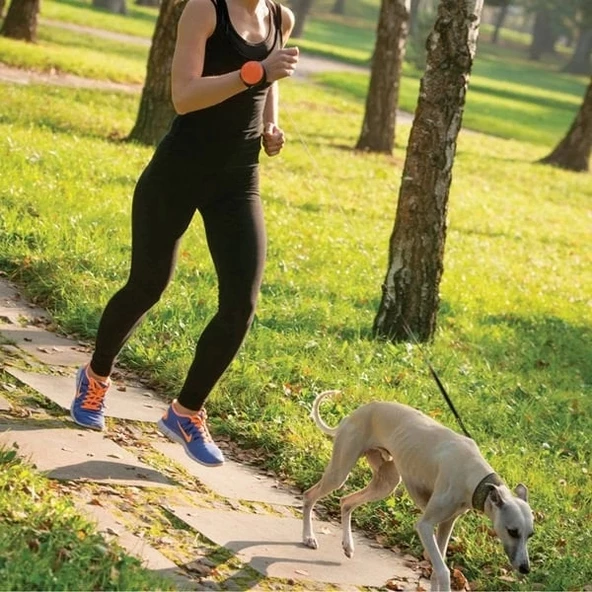 Lishinu Bungee Akıllı Köpek Gezdirme Tasması Yeşil Large - 5