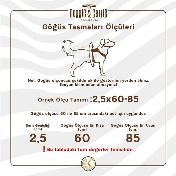 Cattie Havalı Dokuma Kedi Göğüs ve Gezdirme Takımı Medium Bej 1x25-35 Cm - 3