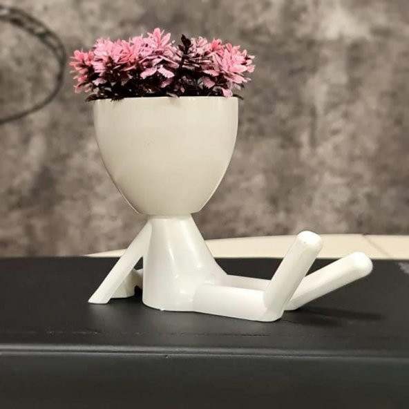 HomeTarz Fenomen Saksı Oturan Masaüstü Dekoratif Saksı Çiçek Tek