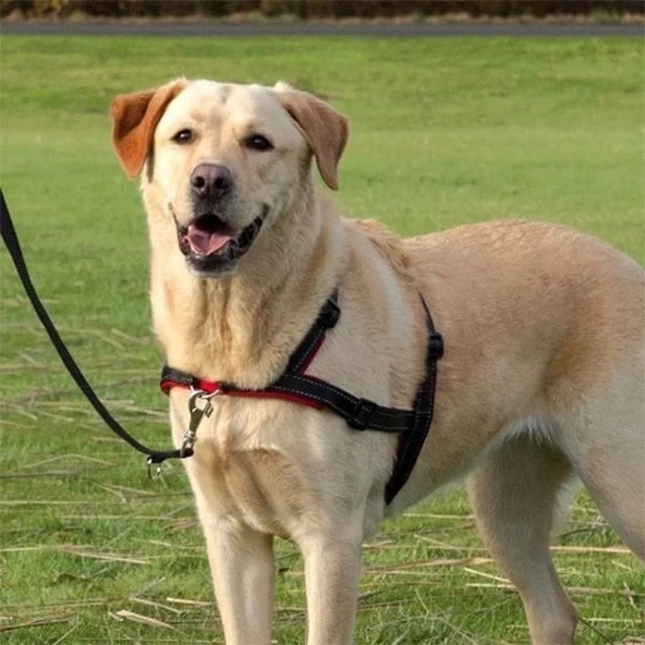 Trixie Yürüyüş Köpek Eğitim Göğüs Tasması Medium - 2