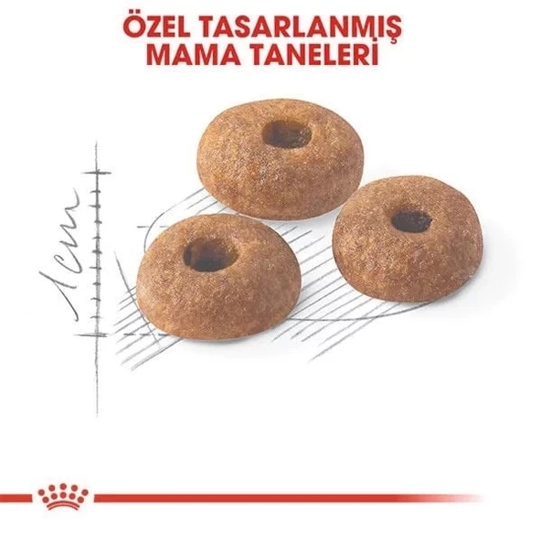 Royal Canin Fit 32 Yetişkin Kedi Maması 2 Kg - 4