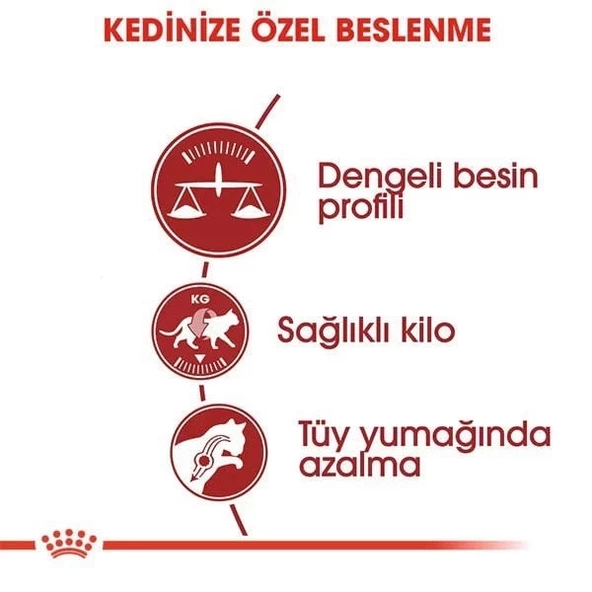 Royal Canin Fit 32 Yetişkin Kedi Maması 2 Kg - 3