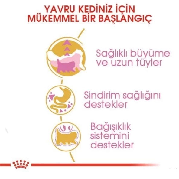 Royal Canin Persian Kitten Yavru İran Kedisi Maması 2 Kg - 4
