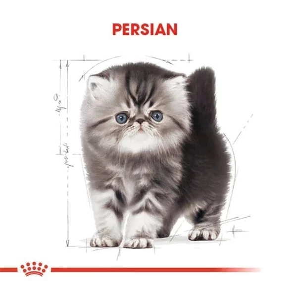 Royal Canin Persian Kitten Yavru İran Kedisi Maması 2 Kg - 3