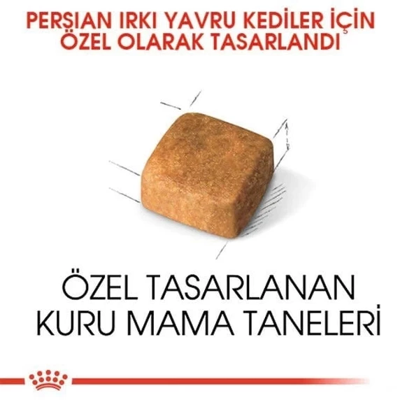 Royal Canin Persian Kitten Yavru İran Kedisi Maması 2 Kg - 5