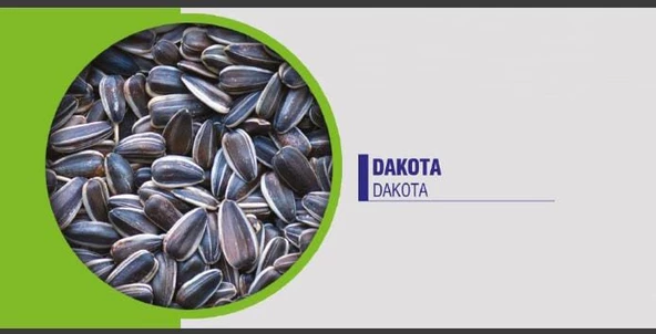 Dakota iri çekirdek 1 kg - 2
