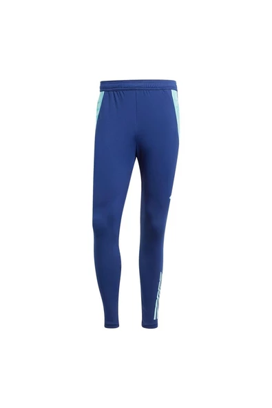 adidas AFC TR PNT Erkek   Eşofman Altı IT2216