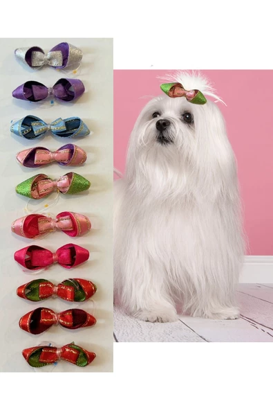 kedi köpek toka 10 adet karışık pet aksesuar - 2
