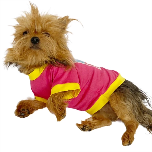 Love Mom Pink, Oval Yaka Tişört Köpek Kıyafeti,Elbisesi Anneler Günü - 4