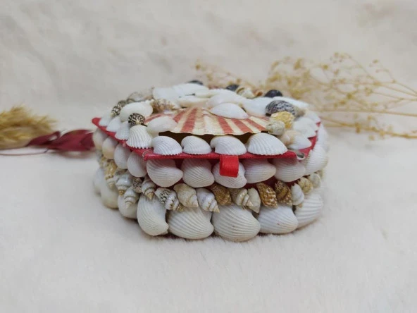 Doğal Deniz Kabuklu Takı Saklama Kutusu Mücevher Kutusu 8266 - 2