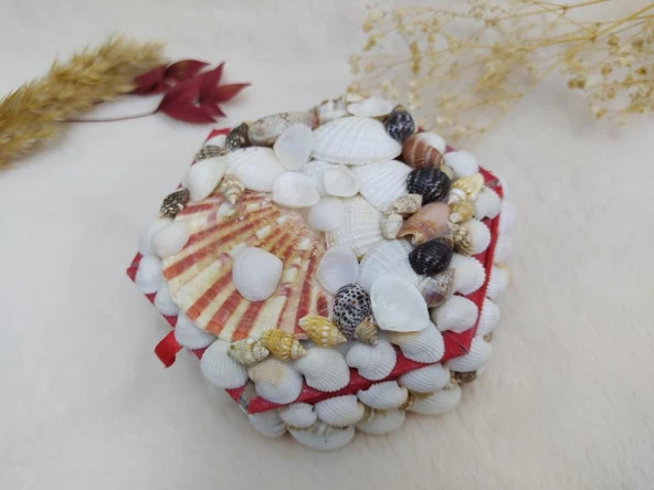 Doğal Deniz Kabuklu Takı Saklama Kutusu Mücevher Kutusu 8266 - 4