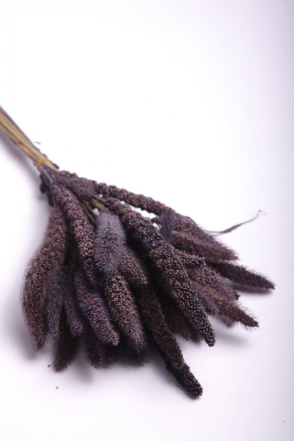 Hoş Kokulu Mor Seterya Çiçeği Dekoratif Pampas Kuru Çiçek 50 cm - 2