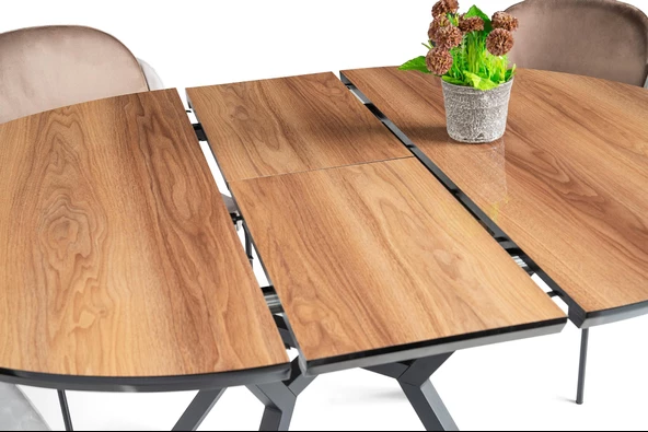 Erezoğulları Mobilya Roza Polo Yuvarlak HighGloss Mutfak Masa Sandalye Takımı 120cm - Resim 3