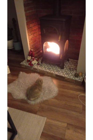 flamestove  Modena 3 Camlı Fırınlı Pik Döküm Şömine Soba - 7