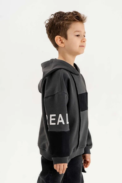 Kapüşonlu Ribanalı %100 Pamuk Üç İplik Erkek Çocuk Sweatshirt ürün görseli 1