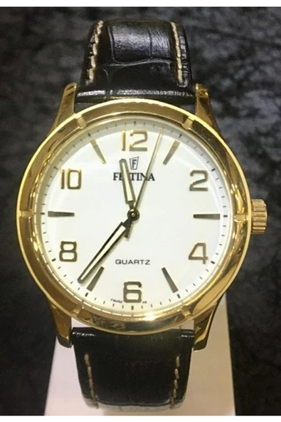 Festina F16452 Erkek Kol Saati