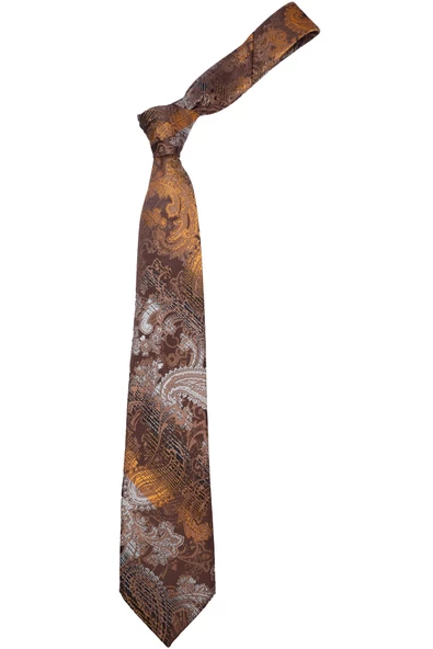 Erkek Şal Desenli Kravat - Resim 8