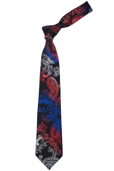Erkek Şal Desenli Kravat - Resim 6