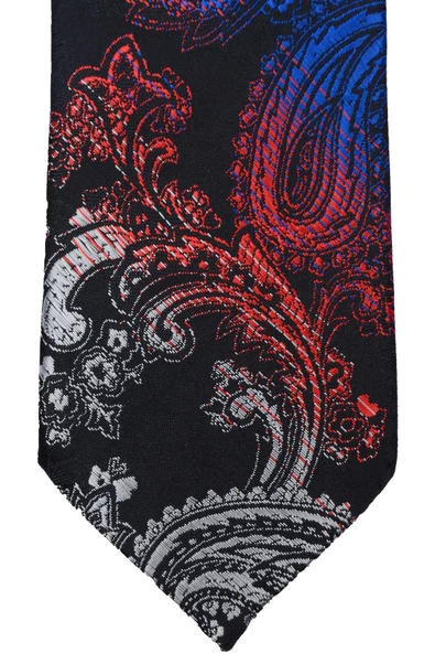 Erkek Şal Desenli Kravat - Resim 5