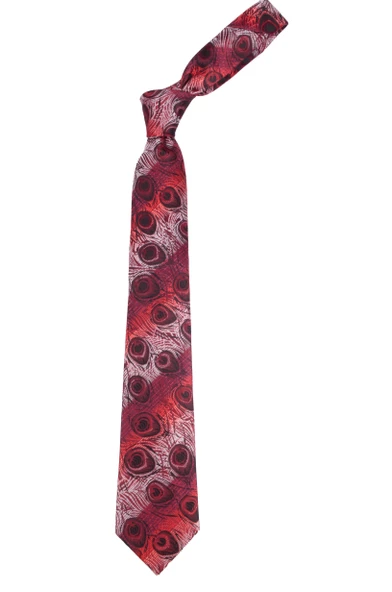 Erkek Motif Desenli Kravat - Resim 4