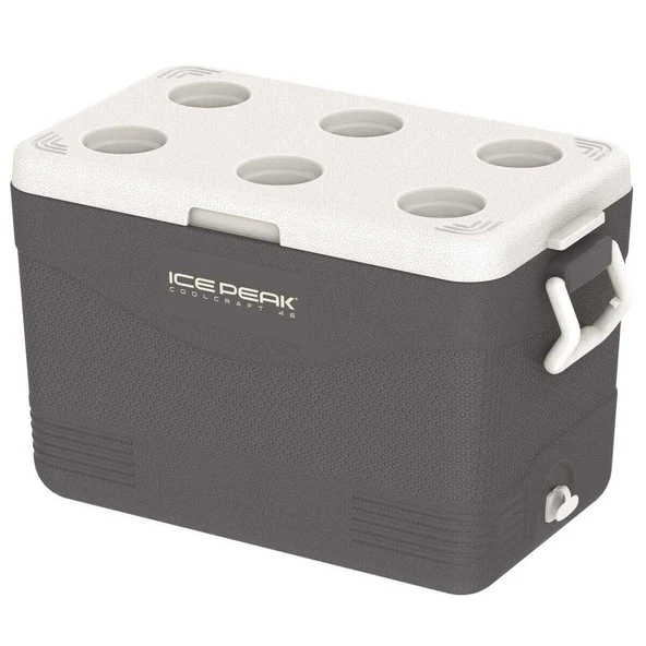 IcePeak CoolCraft 46 Buzluk 41.6 Litre Antrasit - Resim 4