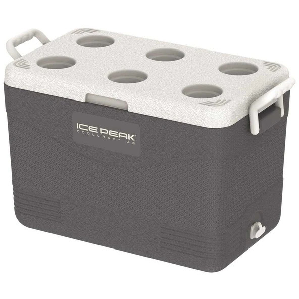 IcePeak CoolCraft 46 Buzluk 41.6 Litre Antrasit - Resim 2