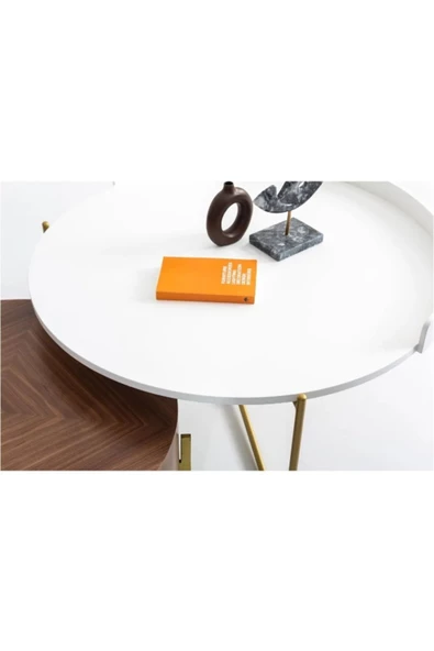 CARBONE DESİN Orta Sehpa,Orta Sehpa Dekoratif Mobilya,Yuvarlak Sehpa,Zigon - Resim 5