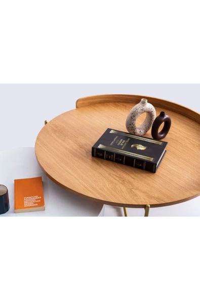 CARBONE DESİN Orta Sehpa,Orta Sehpa Dekoratif Mobilya,Yuvarlak Sehpa,Zigon - Resim 4