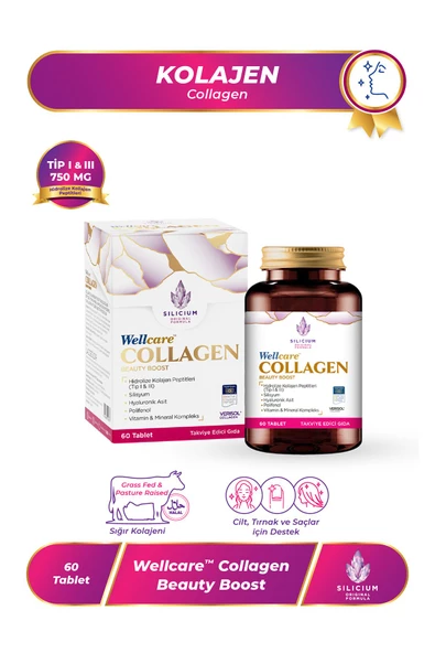 Wellcare Collagen Beauty Boost 60 Cilt Tablet