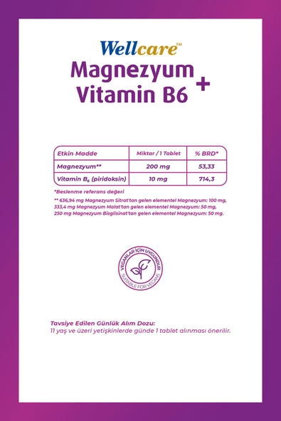 Wellcare Magnezyum Vitamin B6 - 30 Tablet - 2
