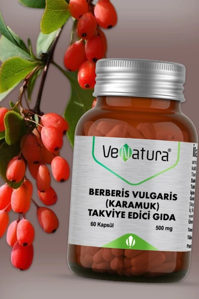 VeNatura Berberis Vulgaris Karamuk Takviye Edici Gıda (60 KAPSÜL 500MG)