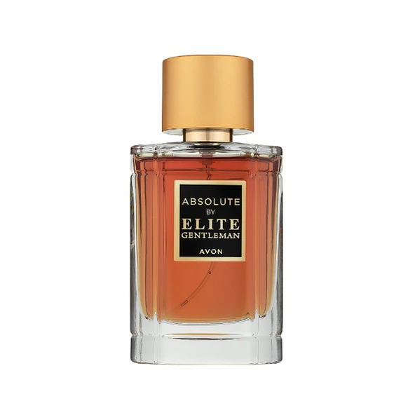 Absolute By Elite Gentleman Erkek Parfüm EDT 50 ml ürün görseli 1