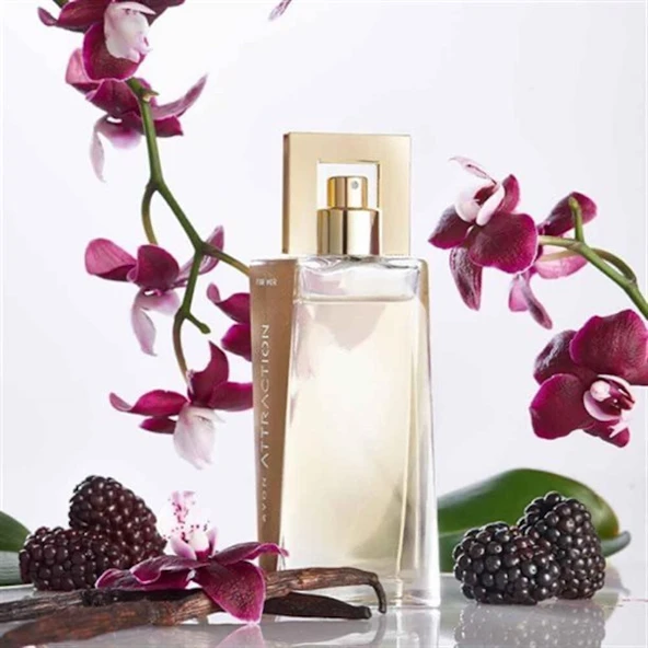 Attraction Kadın Parfüm EDP 50 ml - Resim 4