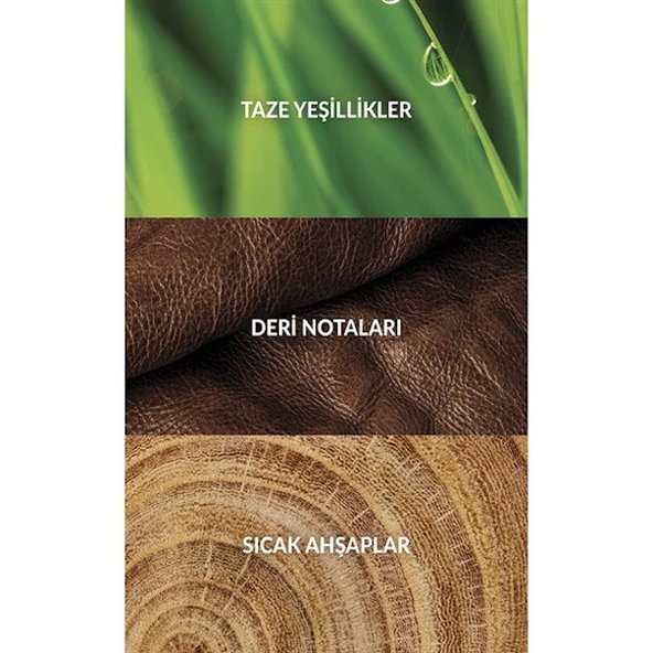 Black Suede Erkek Parfüm EDT 100 ml - Resim 4