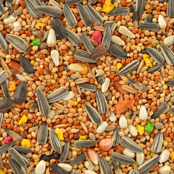 Quik Paraket Yemi 750 gr - Sultan Papağanı Yemi 750 gram - 2