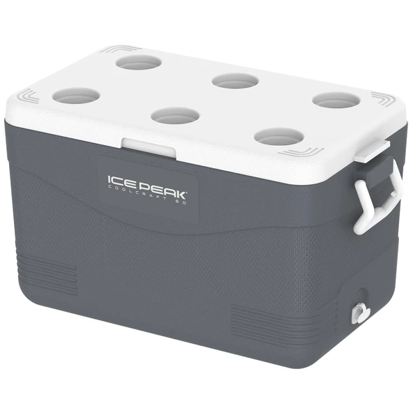 IcePeak CoolCraft 60 Buzluk 56.4 Litre-FÜME - 2
