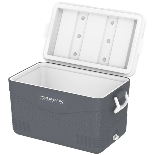 IcePeak CoolCraft 60 Buzluk 56.4 Litre-FÜME - 3