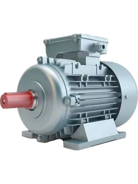0,55 Kw 3/4 Hp 3000x380 Volt Marka Trifaze Elektrik Motoru V2ea 71 M2b ürün görseli 1