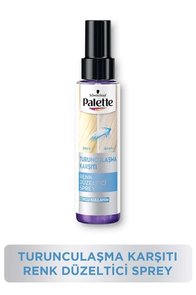 PALETTE RENK DÜZELTİCİ SPREY 100 ML