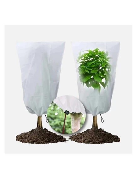 Gardener 11501 Bahçe Bitkileri İçin Soğuktan Koruma Örtüsü 50 g - 2,4 m x 5 m - 3
