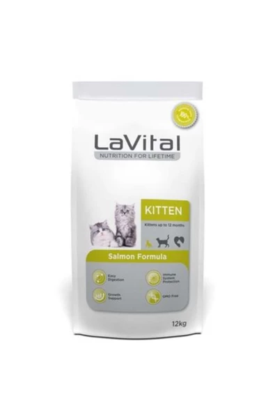 Cat Kitten Somon Balikli Yavru Kedi Mamasi 12 Kg