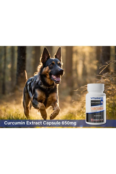 VITARMOR SUPPLEMENTS CURCUMIN KEDİ & KÖPEK Besin Takviyesi 30 Kapsül 650 mg - 3