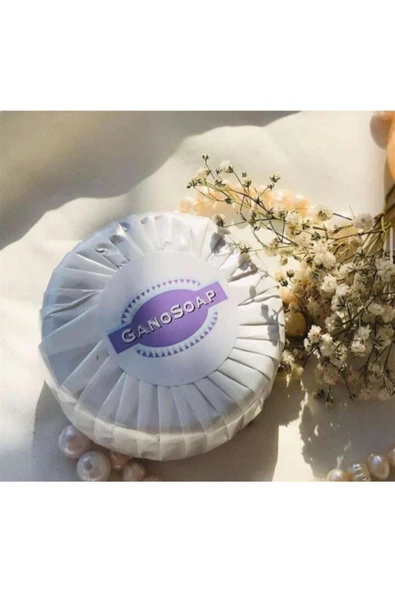 GANO EXCEL SOAP KEÇİ SÜTLÜ SABUN 2 KUTU X 100 G - 2