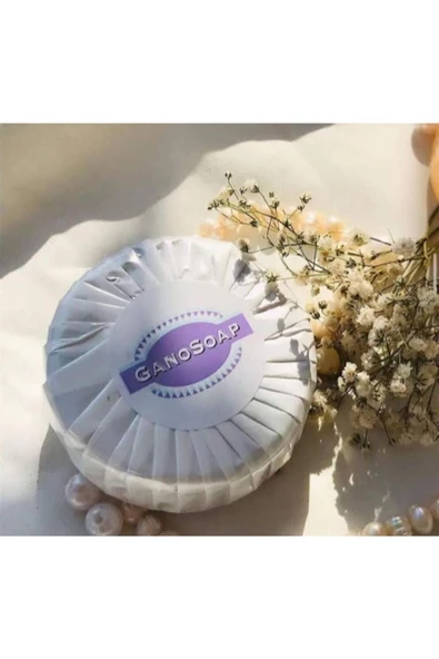 GANO EXCEL SOAP KEÇİ SÜTLÜ SABUN 2 KUTU X 100 G